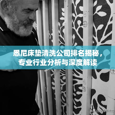 马虎从事