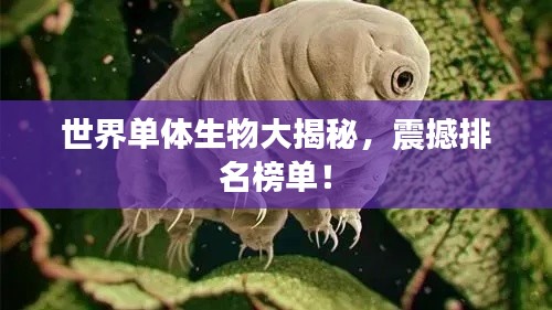 世界单体生物大揭秘，震撼排名榜单！