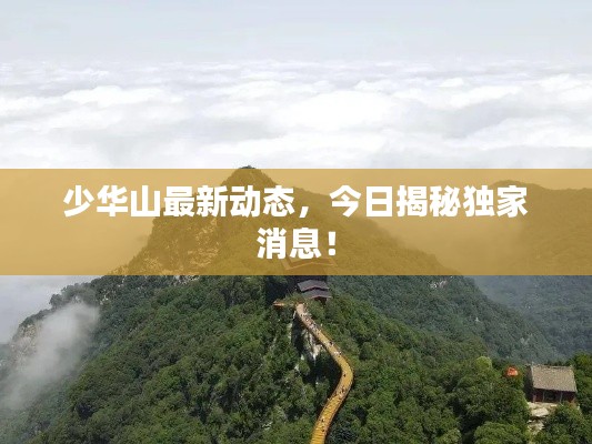 举世无双