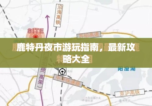 鹿特丹夜市游玩指南，最新攻略大全