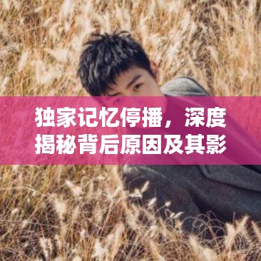笔走龙蛇
