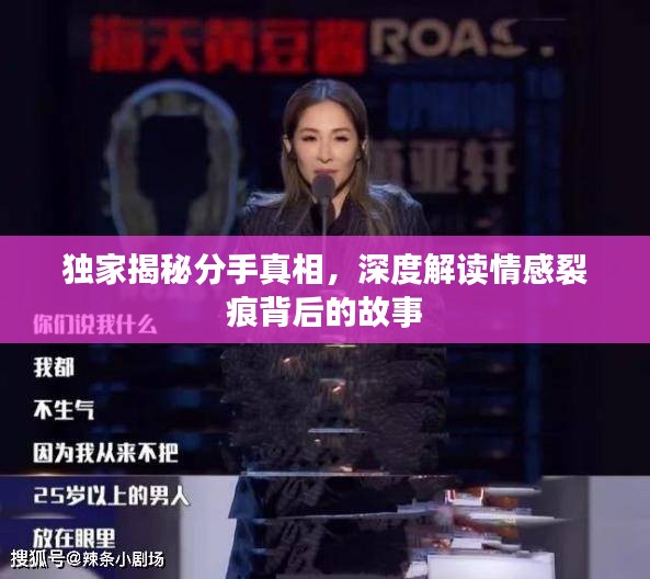 张王李赵