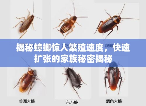 无拘无束