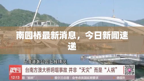 南园桥最新消息，今日新闻速递