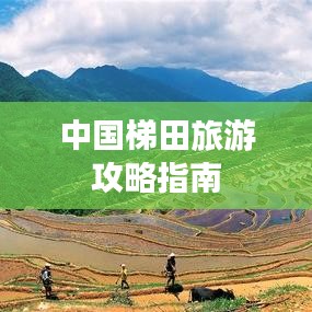 百不得一