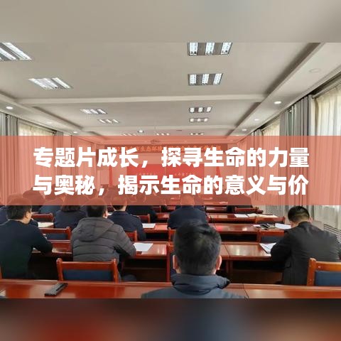 偷工减料