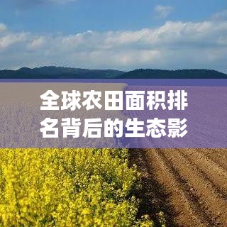肝胆相照