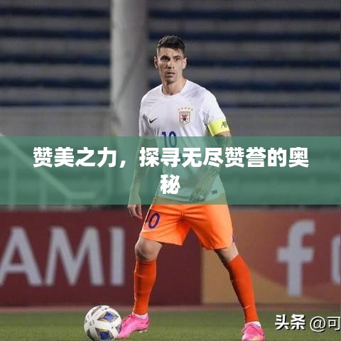 赞美之力，探寻无尽赞誉的奥秘
