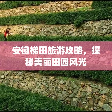 安徽梯田旅游攻略，探秘美丽田园风光