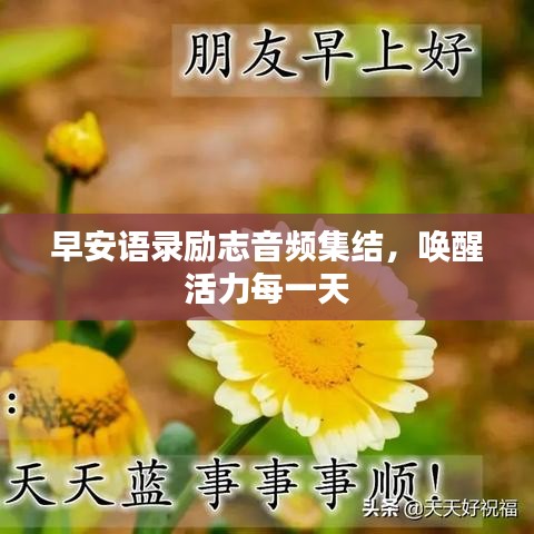 早安语录励志音频集结，唤醒活力每一天