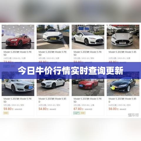 今日牛价行情实时查询更新