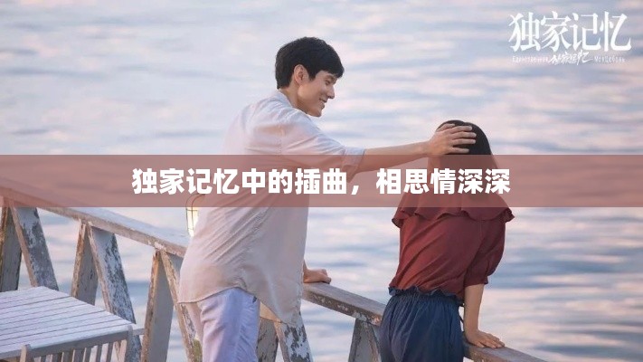 独家记忆中的插曲，相思情深深