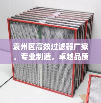 雍容典雅