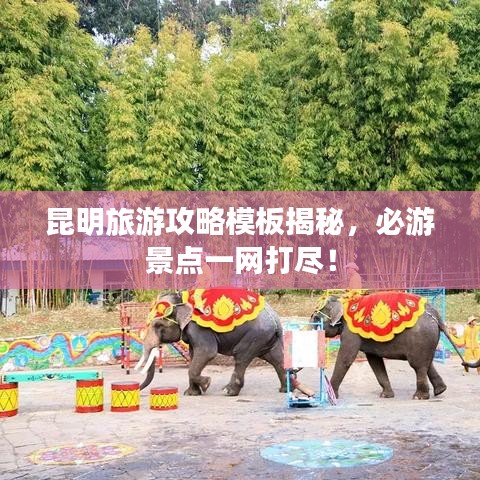 昆明旅游攻略模板揭秘，必游景点一网打尽！