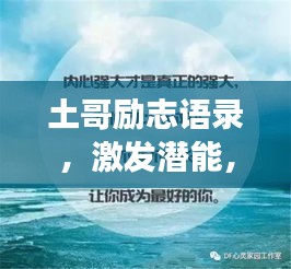 草率从事