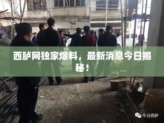 西胪网独家爆料，最新消息今日揭秘！