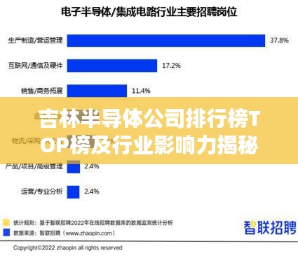 吉林半导体公司排行榜TOP榜及行业影响力揭秘
