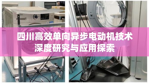 四川高效单向异步电动机技术深度研究与应用探索