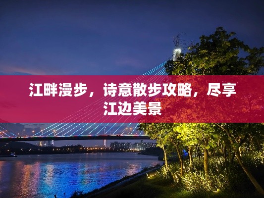 龙飞九五