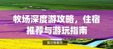 一丝不苟