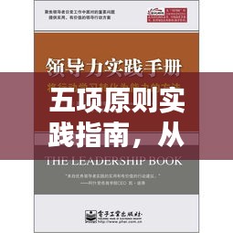 五项原则实践指南，从理论到行动的关键落实策略
