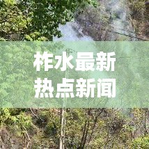 雍容雅步