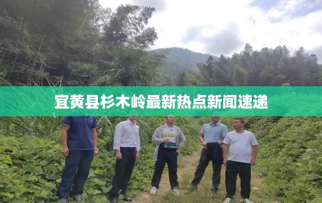 宜黄县杉木岭最新热点新闻速递