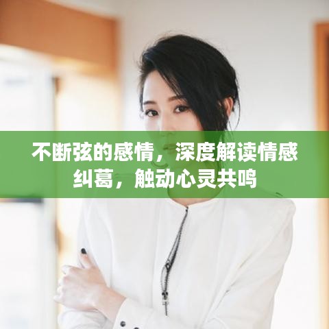 不断弦的感情，深度解读情感纠葛，触动心灵共鸣
