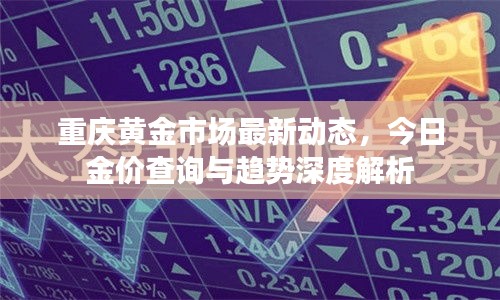 重庆黄金市场最新动态，今日金价查询与趋势深度解析