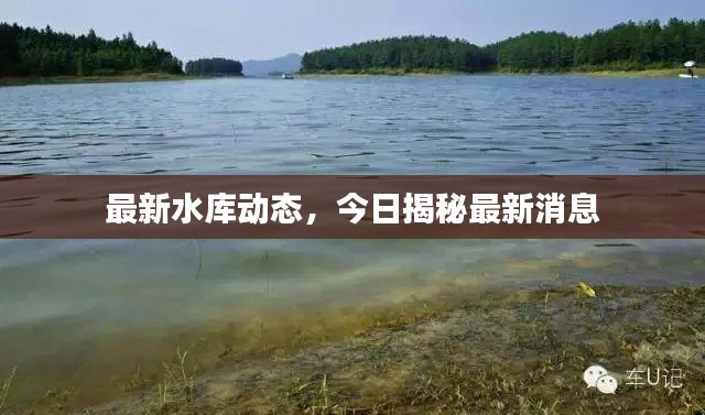 最新水库动态，今日揭秘最新消息