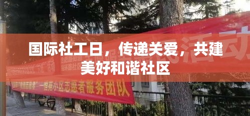 丢三落四