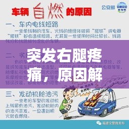 突发右腿疼痛，原因解析、应急处理与预防策略