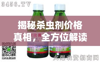笨鸟先飞