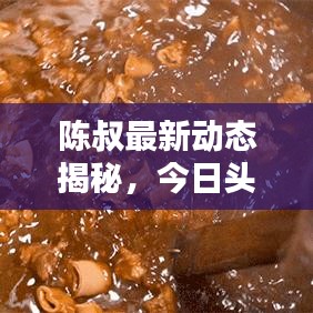 陈叔最新动态揭秘，今日头条独家消息速递！