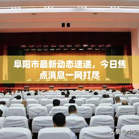 衣无二彩