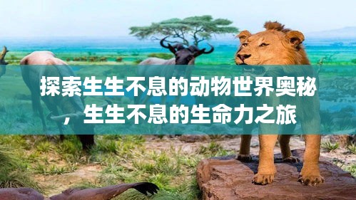 夭桃秾李