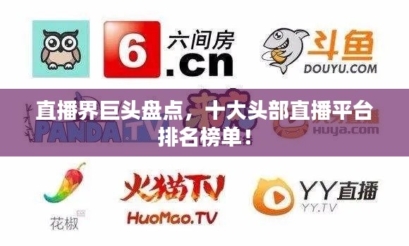 直播界巨头盘点，十大头部直播平台排名榜单！