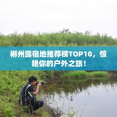 抛砖引玉