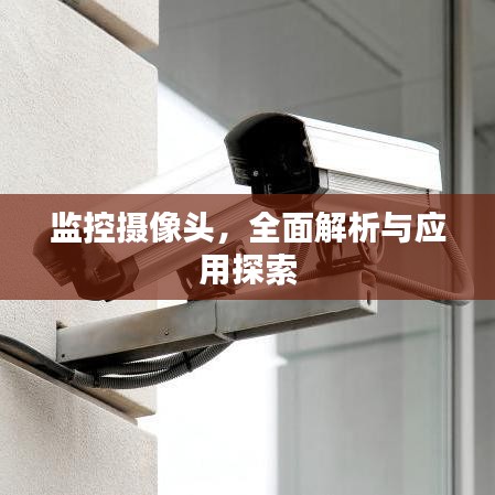 乌鸟私情