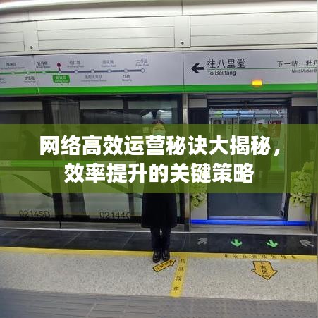 网络高效运营秘诀大揭秘，效率提升的关键策略