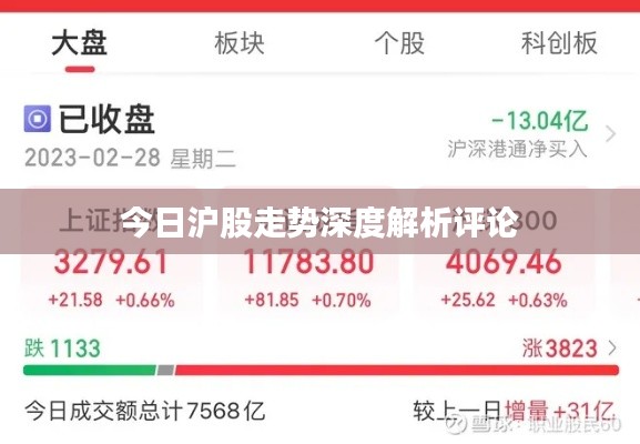 今日沪股走势深度解析评论