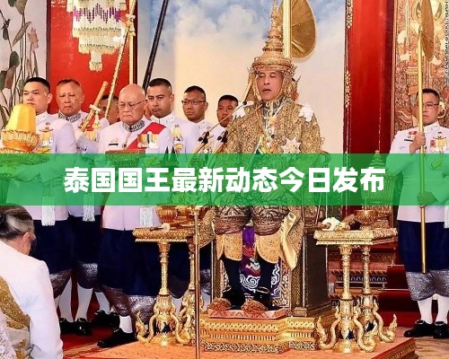 一心一意