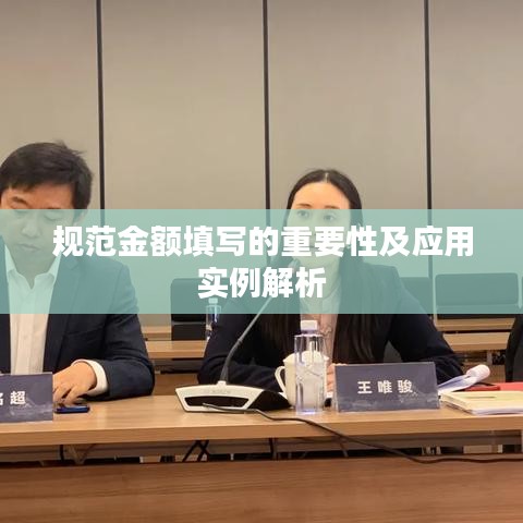 规范金额填写的重要性及应用实例解析