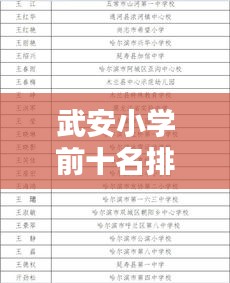 武安小学前十名排名揭秘，教育卓越成就孩子未来