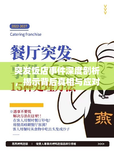 突发饭店事件深度剖析，揭示背后真相与应对策略