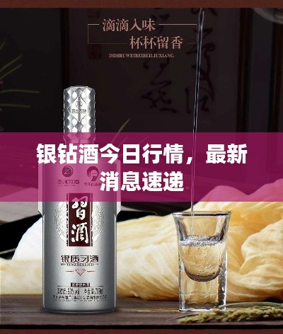 银钻酒今日行情，最新消息速递