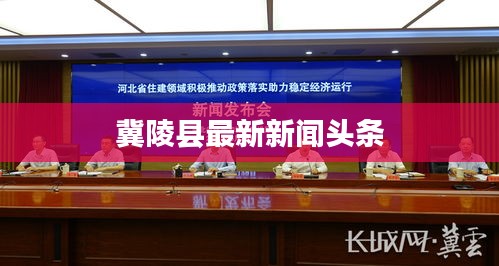 冀陵县最新新闻头条