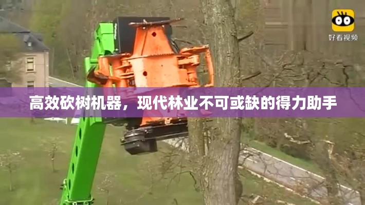 高效砍树机器，现代林业不可或缺的得力助手