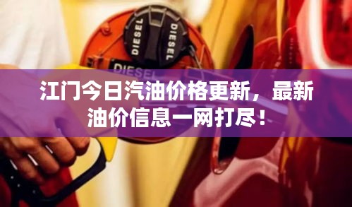 江门今日汽油价格更新，最新油价信息一网打尽！