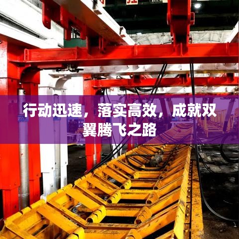 行动迅速，落实高效，成就双翼腾飞之路